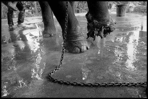 (c) Chien-Chi Chang / Magnum Photos