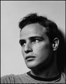 An Actor Named Brando