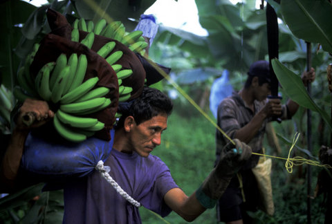 (c) David Alan Harvey / Magnum Photos