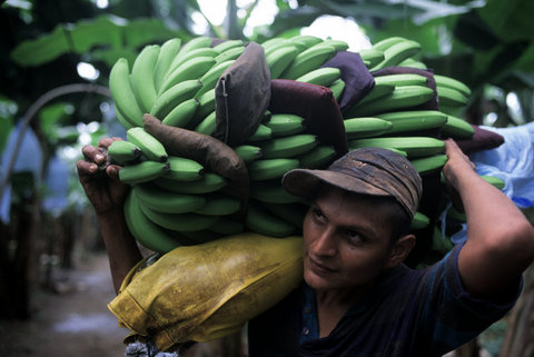 (c) David Alan Harvey / Magnum Photos