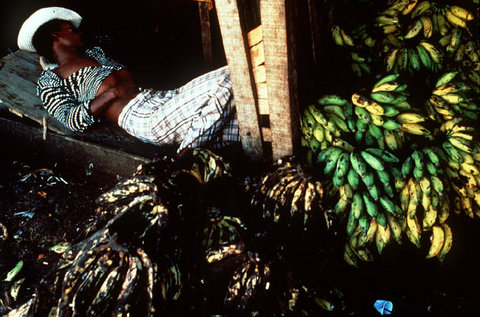 (c) Miguel Rio Branco / Magnum Photos