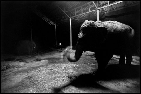 (c) Chien-Chi Chang / Magnum Photos