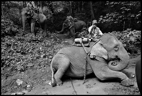 (c) Chien-Chi Chang / Magnum Photos