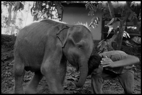 (c) Chien-Chi Chang / Magnum Photos