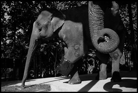 (c) Chien-Chi Chang / Magnum Photos