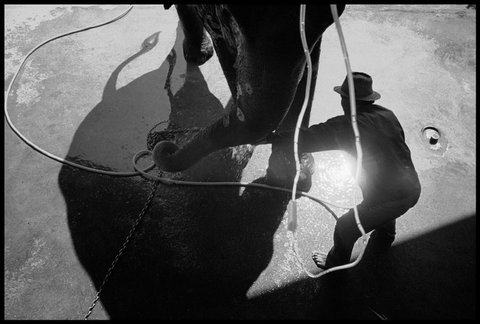 (c) Chien-Chi Chang / Magnum Photos