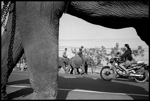 (c) Chien-Chi Chang / Magnum Photos