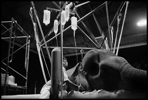 (c) Chien-Chi Chang / Magnum Photos