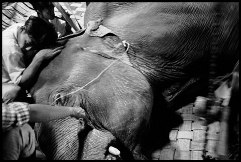 (c) Chien-Chi Chang / Magnum Photos