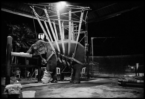 (c) Chien-Chi Chang / Magnum Photos