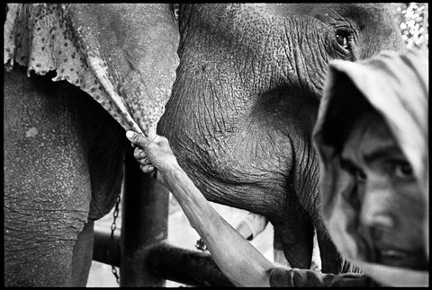 (c) Chien-Chi Chang / Magnum Photos