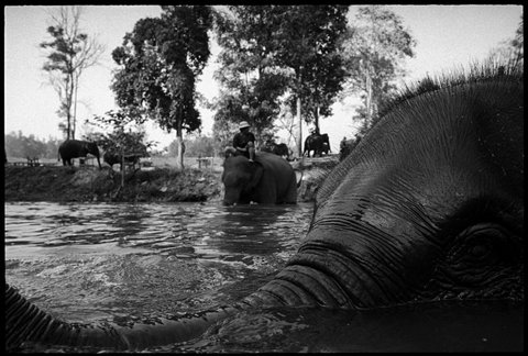 (c) Chien-Chi Chang / Magnum Photos
