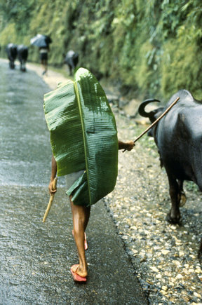 (c) Steve McCurry / Magnum Photos