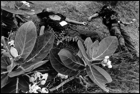 (c) Philip Jones Griffiths  / Magnum Photos