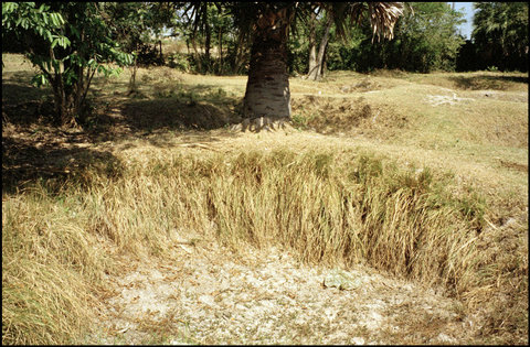 (c) John Vink / Magnum Photos