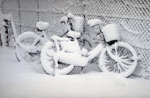 (c) Chris Steele-Perkins / Magnum Photos