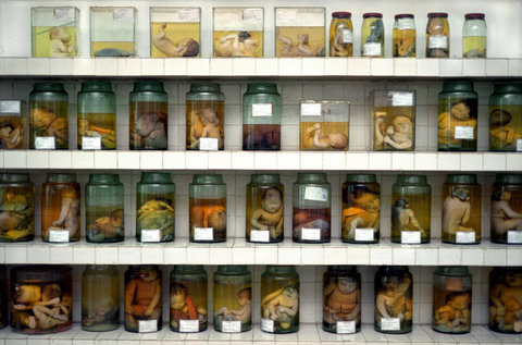(c) Chris Steele-Perkins / Magnum Photos
