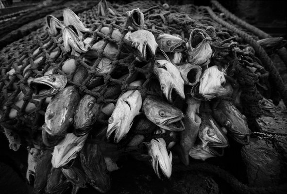(c) Magnum Photos