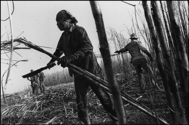(c) Magnum Photos