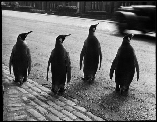 (c) Magnum Photos