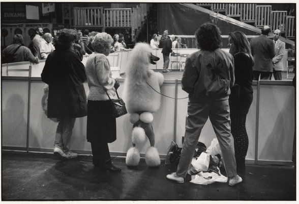 (c) Magnum Photos