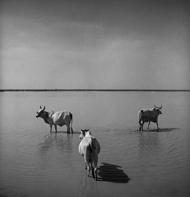 (c) Magnum Photos
