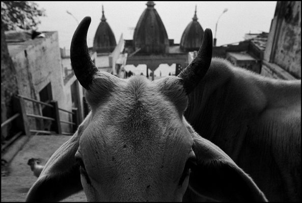 (c) Magnum Photos