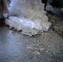 Holy Matrimony