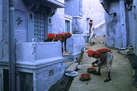 The Colors of Rajasthan