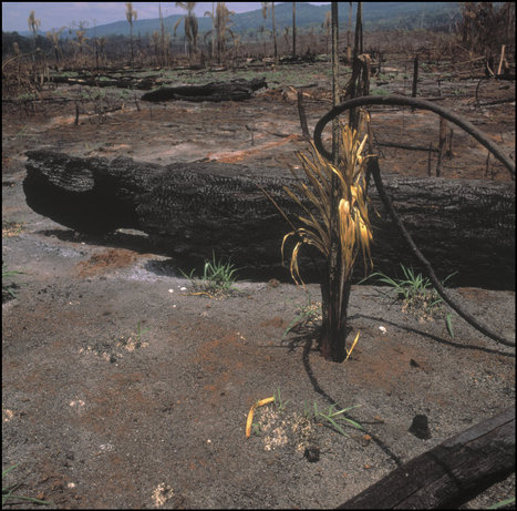 (c) Magnum Photos