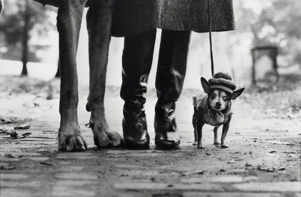 (c) Magnum Photos