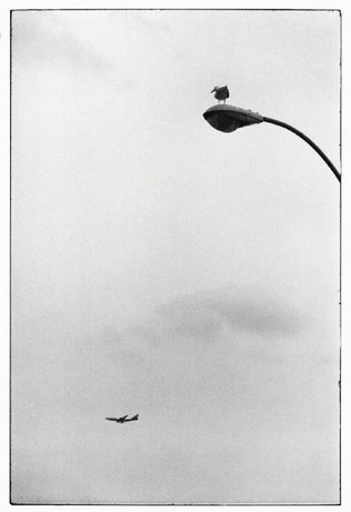 (c) Magnum Photos
