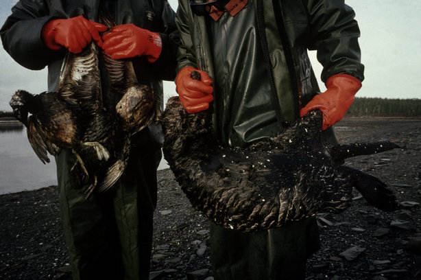 (c) Magnum Photos