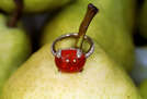 Put a Ring on It