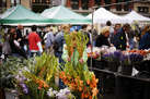 Farmers' Markets