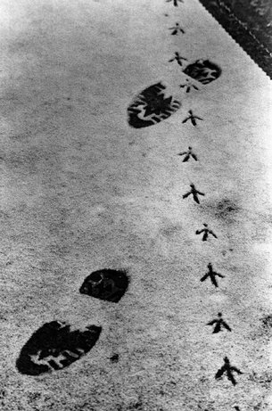 (c) Magnum Photos