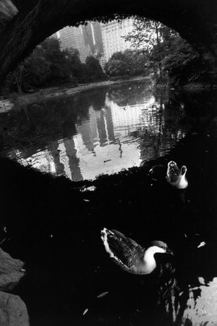 (c) Magnum Photos