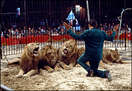 The Circus