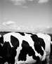 National Dairy Month