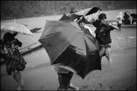 The Wind