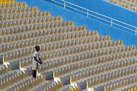 In the Stands 
