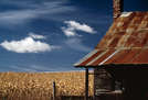 American Farming