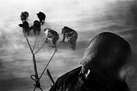 Iditarod Landscapes