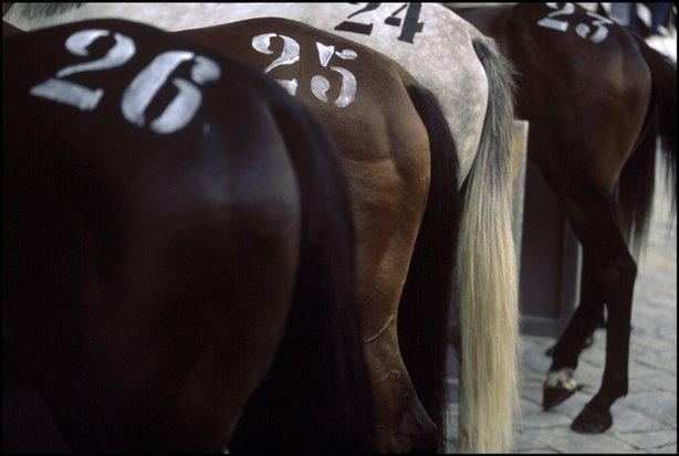 (c) Magnum Photos