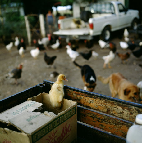 (c) Magnum Photos