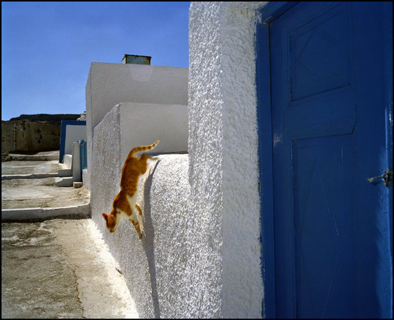 (c) Magnum Photos