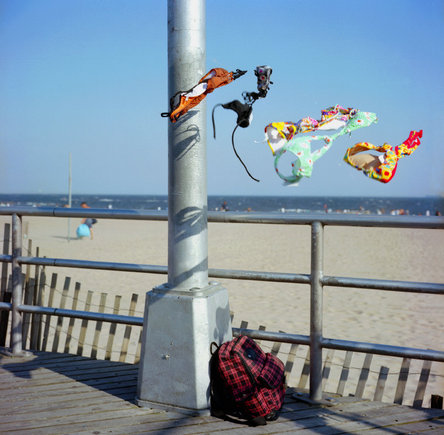 (c) Peter Marlow / Magnum Photos