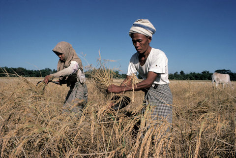 (c) Hiroji Kubota / Magnum Photos
