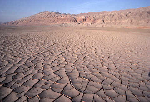 (c) Hiroji Kubota / Magnum Photos
