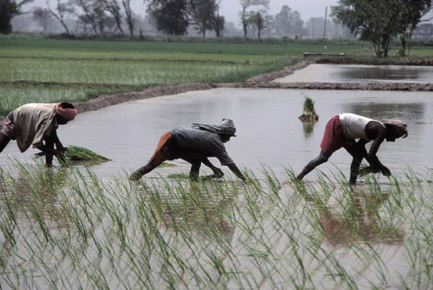 (c) Hiroji Kubota / Magnum Photos
